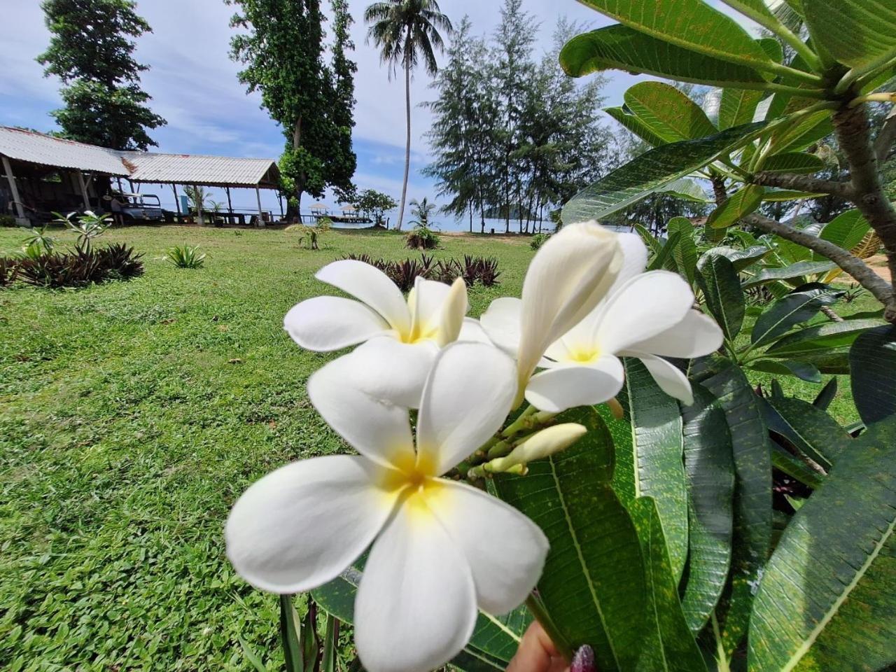 Miss You Beach Resort Koh Mak Dış mekan fotoğraf